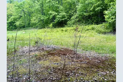 0 Alarka Road #48, Bryson City, NC 28713 - Photo 6