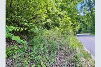 0 Alarka Road #48, Bryson City, NC 28713 - Photo 10