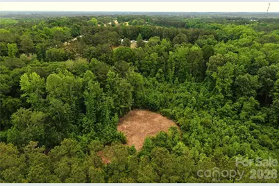 00 Society Hill Road, Society Hill, SC 29593 - Photo 6