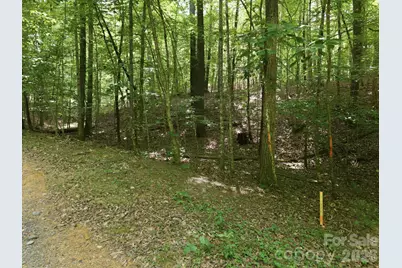 2411 Hundred Acres Lane, Lenoir, NC 28645 - Photo 1