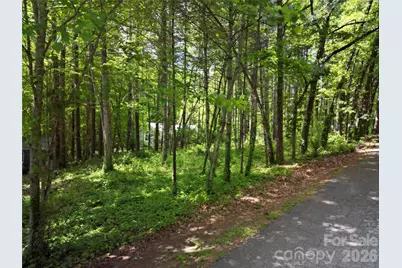 164 Country Lane, Brevard, NC 28712 - Photo 1