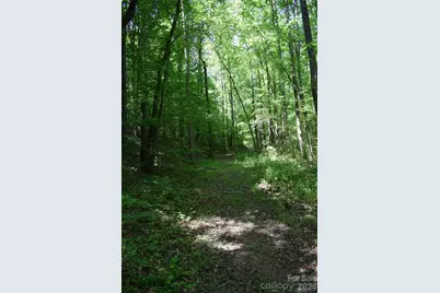 0 Floyd Blackwell Road, Tryon, NC 28722 - Photo 14