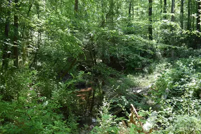 0 Floyd Blackwell Road, Tryon, NC 28722 - Photo 4