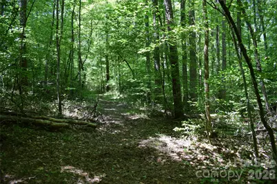 0 Floyd Blackwell Road, Tryon, NC 28722 - Photo 20