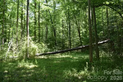 0 Floyd Blackwell Road, Tryon, NC 28722 - Photo 18
