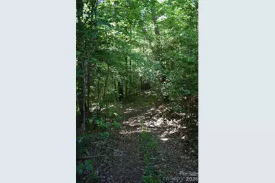 0 Floyd Blackwell Road, Tryon, NC 28722 - Photo 2