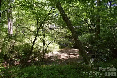 0 Floyd Blackwell Road, Tryon, NC 28722 - Photo 12