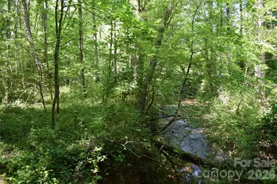0 Floyd Blackwell Road, Tryon, NC 28722 - Photo 10