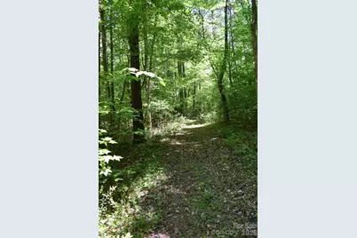 0 Floyd Blackwell Road, Tryon, NC 28722 - Photo 22