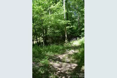 0 Floyd Blackwell Road, Tryon, NC 28722 - Photo 6