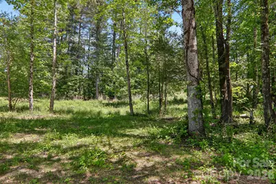 36 Haywood Crossing Drive, Hendersonville, NC 28791 - Photo 36