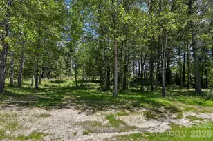 36 Haywood Xing Dr, Hendersonville, NC 28791 - Photo 40