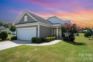 23023 Whimbrel Cir, Indian Land, SC 29707 - Photo 4