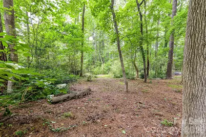 231 Pat Stough Lane, Davidson, NC 28036 - Photo 34