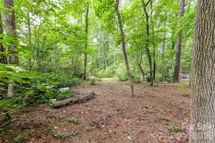 231 Pat Stough Ln, Davidson, NC 28036 - Photo 34