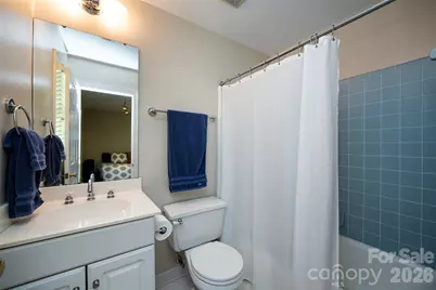 231 Pat Stough Lane, Davidson, NC 28036 - Photo 22