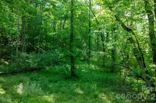 3355 Helton Hartley Pl, Lenoir, NC 28645 - Photo 44