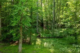3355 Helton Hartley Pl, Lenoir, NC 28645 - Photo 44