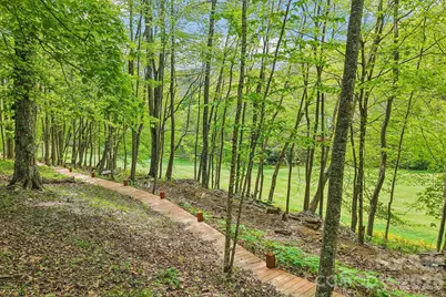 101 Oak Ridge Court, Mars Hill, NC 28754 - Photo 38