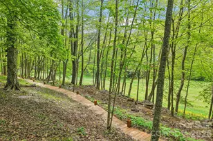 101 Oak Ridge Ct, Mars Hill, NC 28754 - Photo 38