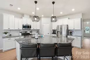 13314 Canterbury Castle Dr, Charlotte, NC 28273 - Photo 6