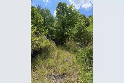 408 Arvil Gosnell Road, Marshall, NC 28753 - Photo 30
