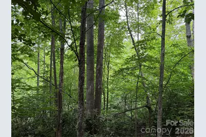 408 Arvil Gosnell Road, Marshall, NC 28753 - Photo 18