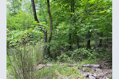 408 Arvil Gosnell Road, Marshall, NC 28753 - Photo 20