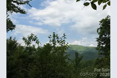 408 Arvil Gosnell Road, Marshall, NC 28753 - Photo 1