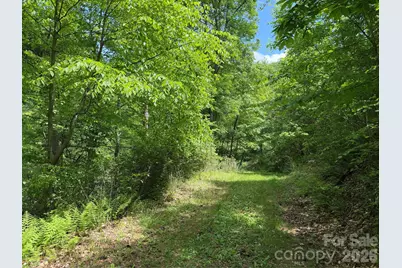 408 Arvil Gosnell Road, Marshall, NC 28753 - Photo 10