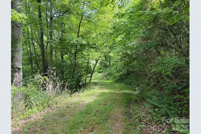 408 Arvil Gosnell Road, Marshall, NC 28753 - Photo 8