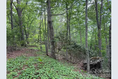 408 Arvil Gosnell Road, Marshall, NC 28753 - Photo 16