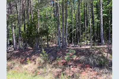 0 Luckadoo Mountain Road #177, Bostic, NC 28018 - Photo 10