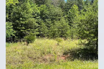 0 Luckadoo Mountain Road #177, Bostic, NC 28018 - Photo 8