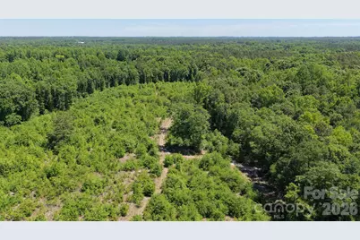 000 Hwy 151 Highway, Jefferson, SC 29718 - Photo 6