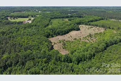 000 Hwy 151 Highway, Jefferson, SC 29718 - Photo 10