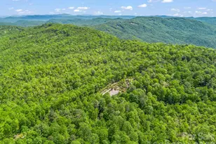 2053 Nancy Mountain Rd, Rosman, NC 28772 - Photo 46