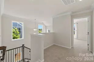 23206 Clarabelle Dr, Charlotte, NC 28273 - Photo 14