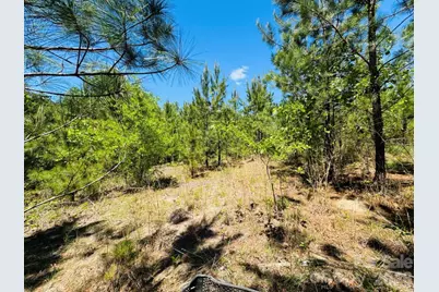 231 Jc Road, Patrick, SC 29584 - Photo 8