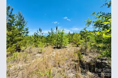 231 Jc Road, Patrick, SC 29584 - Photo 6
