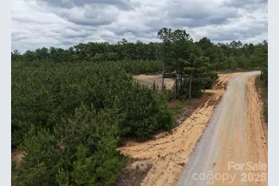 231 Jc Road, Patrick, SC 29584 - Photo 4