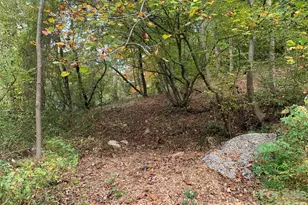 99999 Hickory St, Asheville, NC 28804 - Photo 1