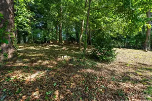 36 Robinwood Ave, Asheville, NC 28806 - Photo 42