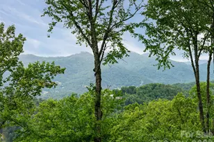 29 Elk Ridge Dr, Asheville, NC 28804 - Photo 10