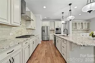 17306 Saranita Ln, Charlotte, NC 28278 - Photo 14