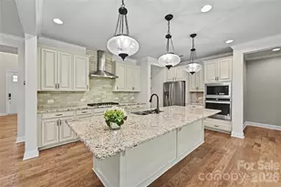 17306 Saranita Ln, Charlotte, NC 28278 - Photo 12