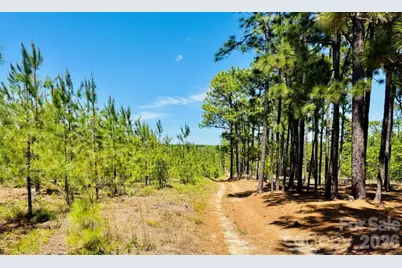 0000 Jc Road, Patrick, SC 29584 - Photo 12