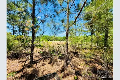 0000 Jc Road, Patrick, SC 29584 - Photo 6
