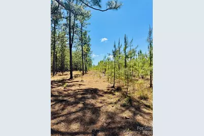 0000 Jc Road, Patrick, SC 29584 - Photo 8