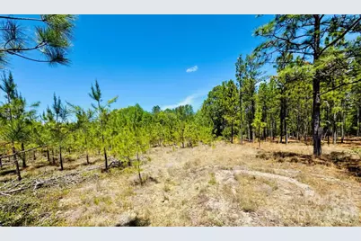 0000 Jc Road, Patrick, SC 29584 - Photo 10